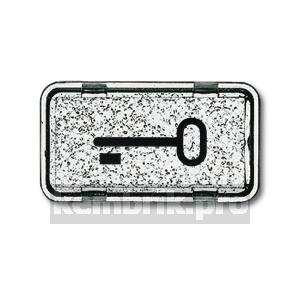 Линза прозрачная с символом ключ Allwetter 44