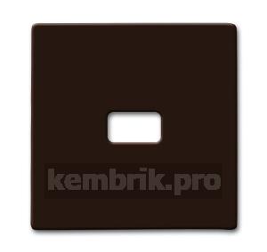 ALLWETTER Клавиша с окном для символа для выключателей/переключателей/кнопок IP44 коричневый