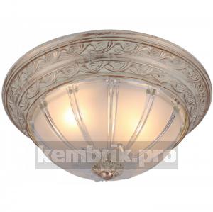 Светильник настенно-потолочный Arte lamp Piatti a8014pl-2wa